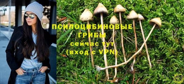 бошки Алексин