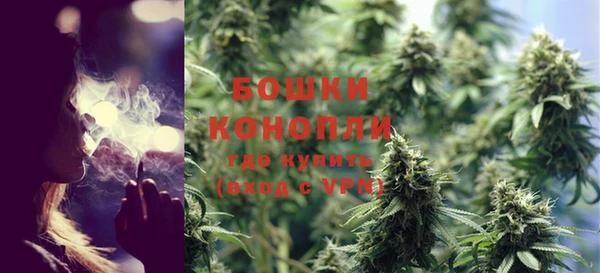 бошки Алексин