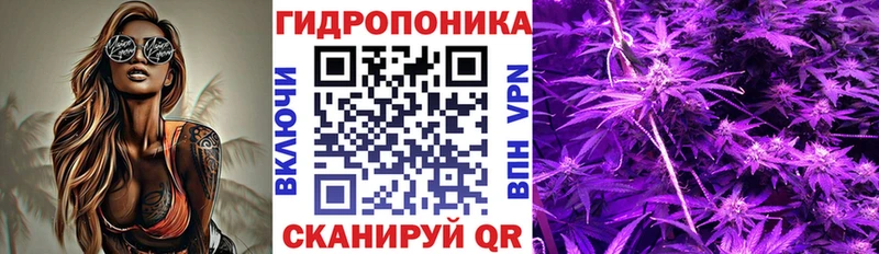 Конопля Bruce Banner  закладка  Киселёвск 